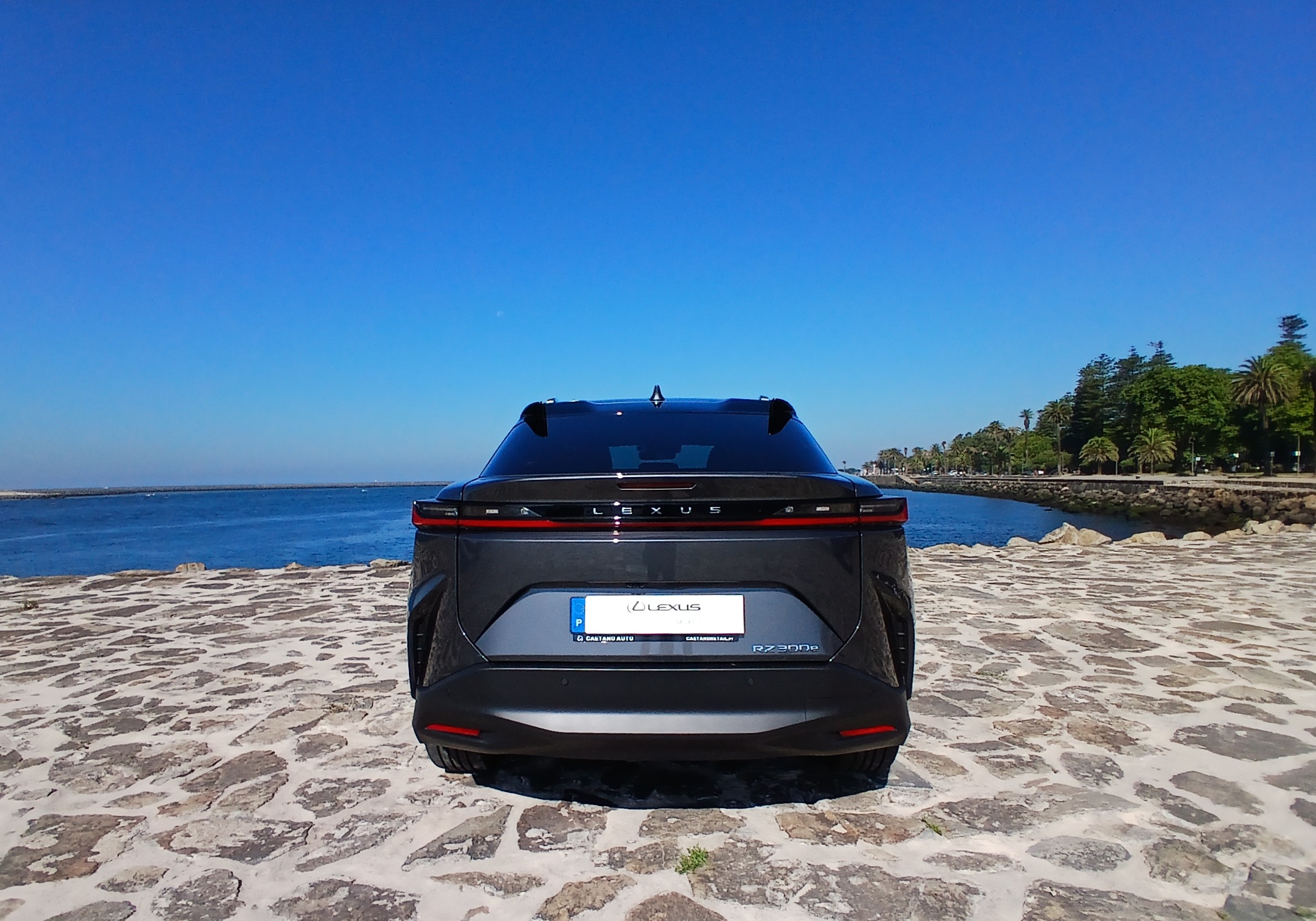 LEXUS RZ 300E RZ 300e Premium