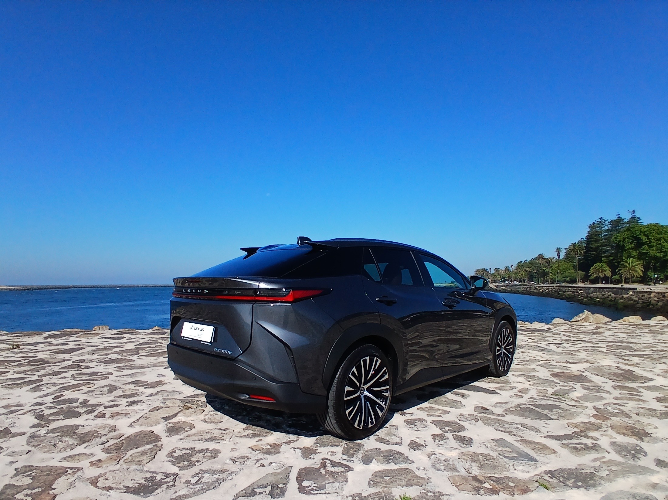 LEXUS RZ 300E RZ 300e Premium