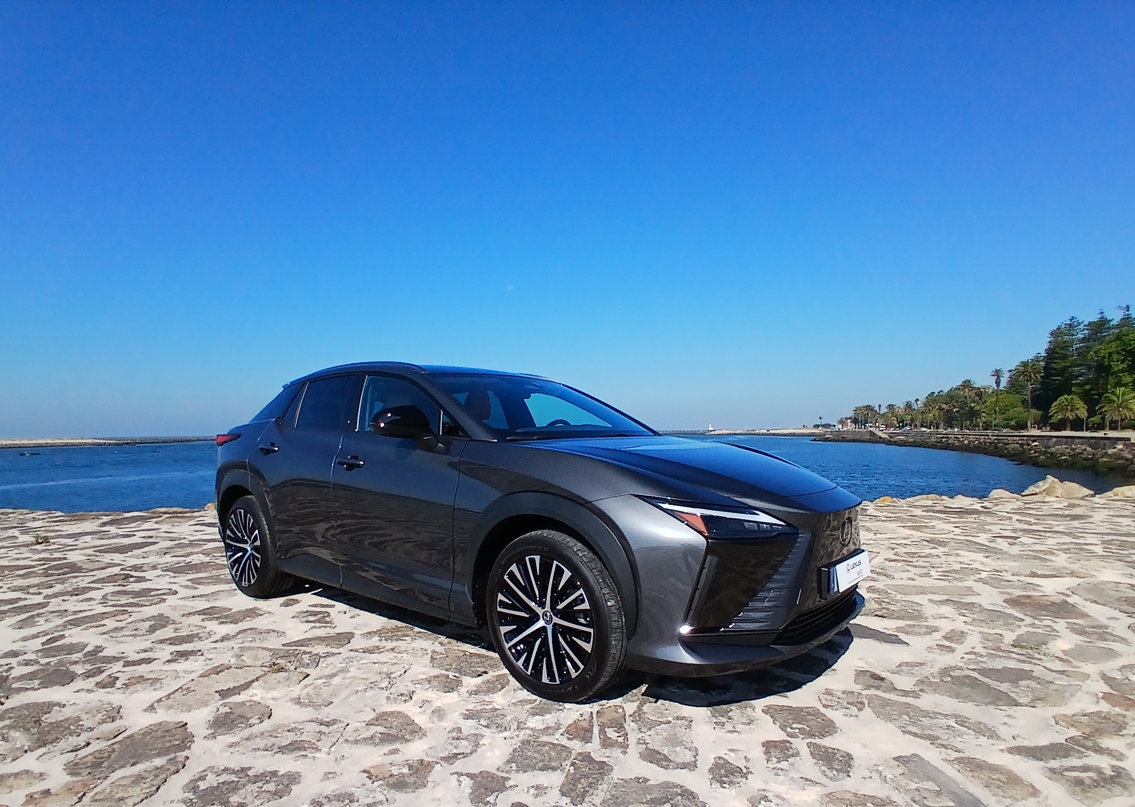 LEXUS RZ 300E RZ 300e Premium