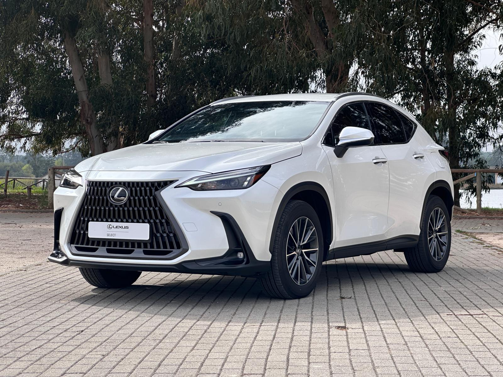 LEXUS NX450H+ NX 450h+ Executive