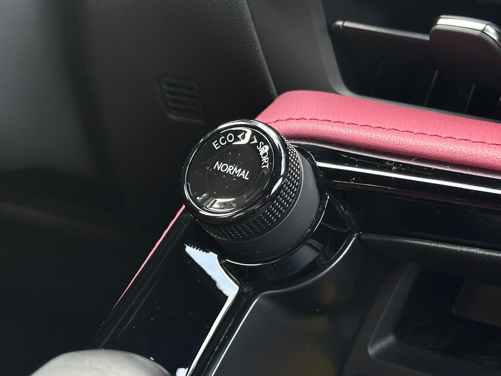 LEXUS NX450H+ NX 450h+ Executive