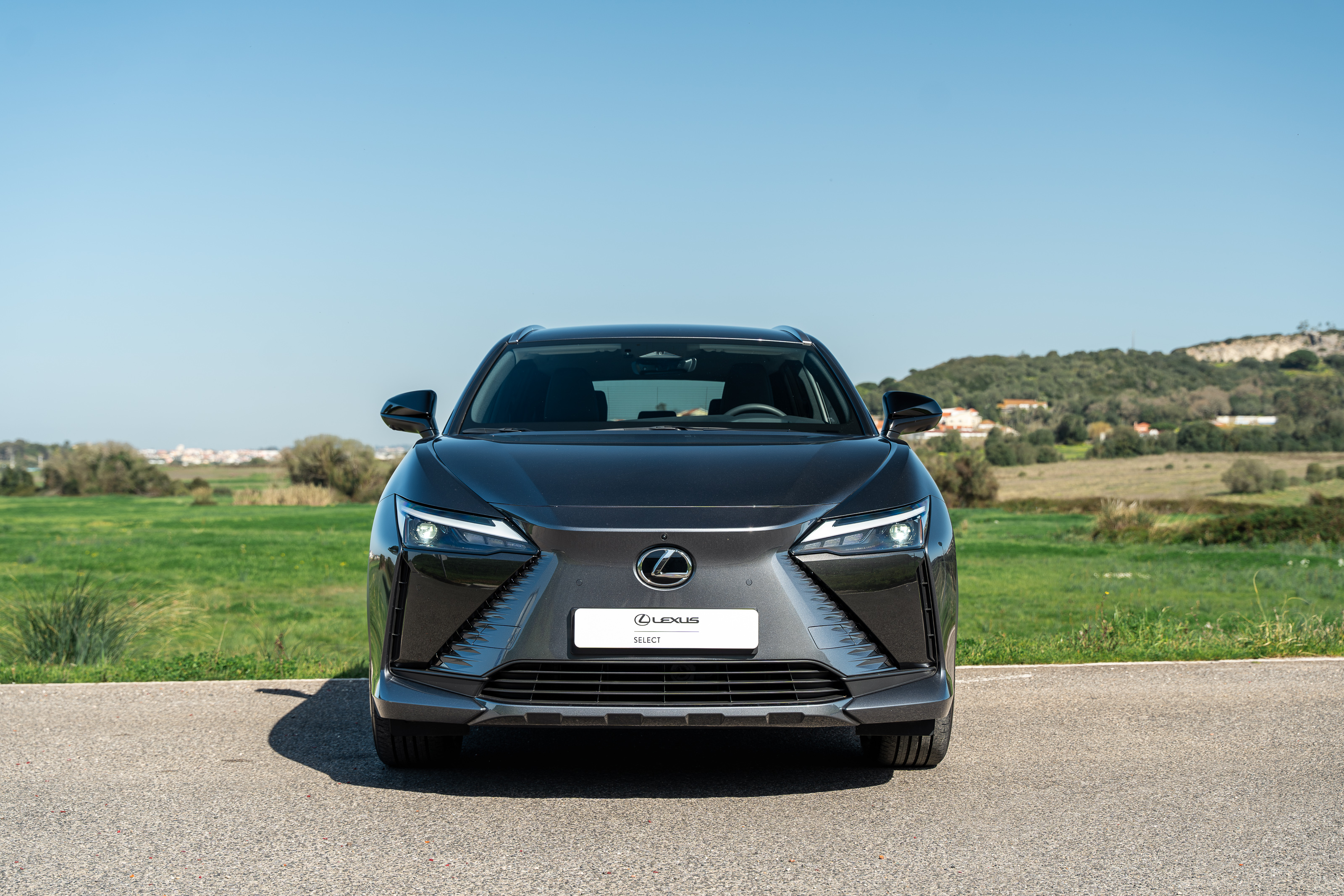 LEXUS RZ 300E RZ 300e Premium