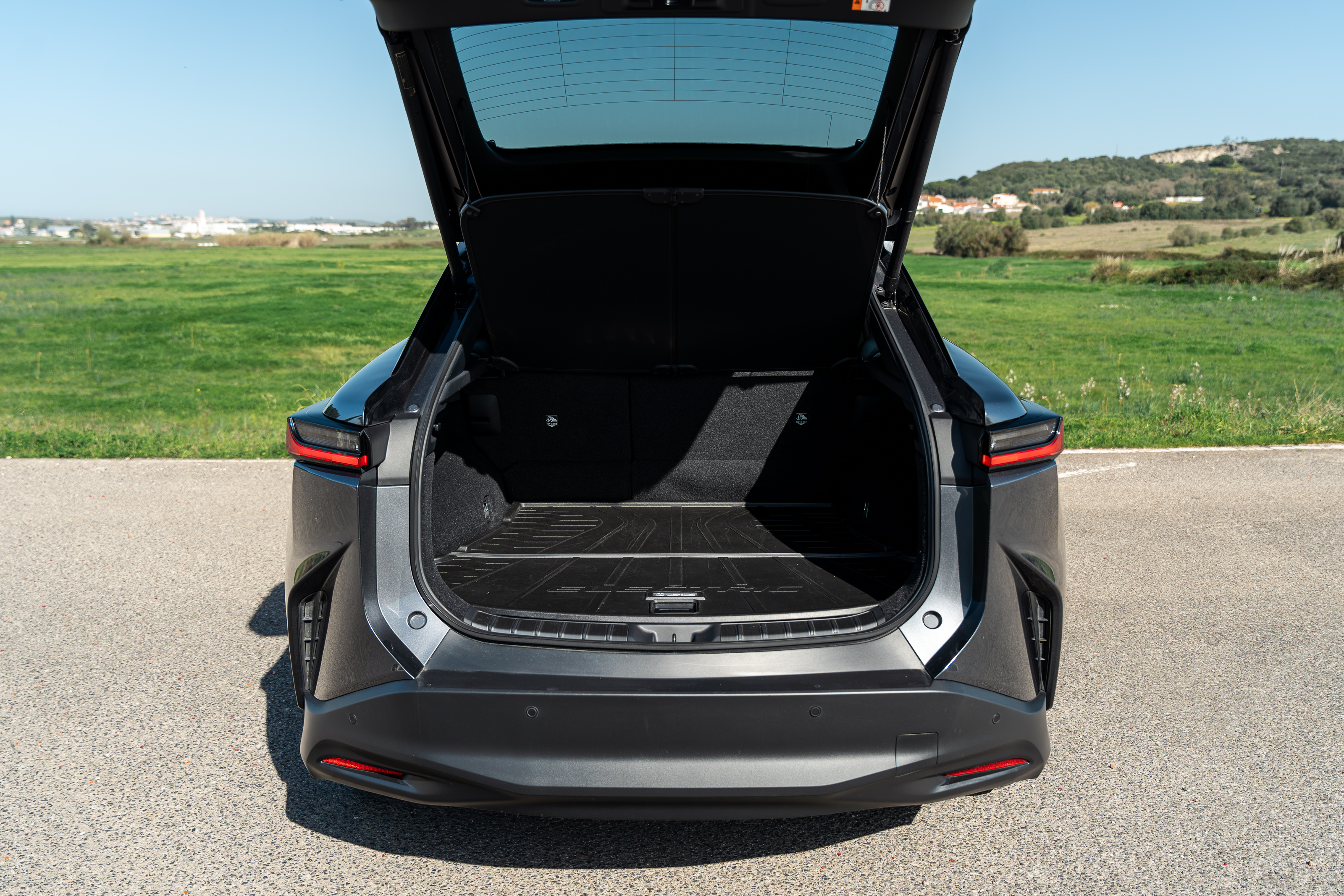 LEXUS RZ 300E RZ 300e Premium