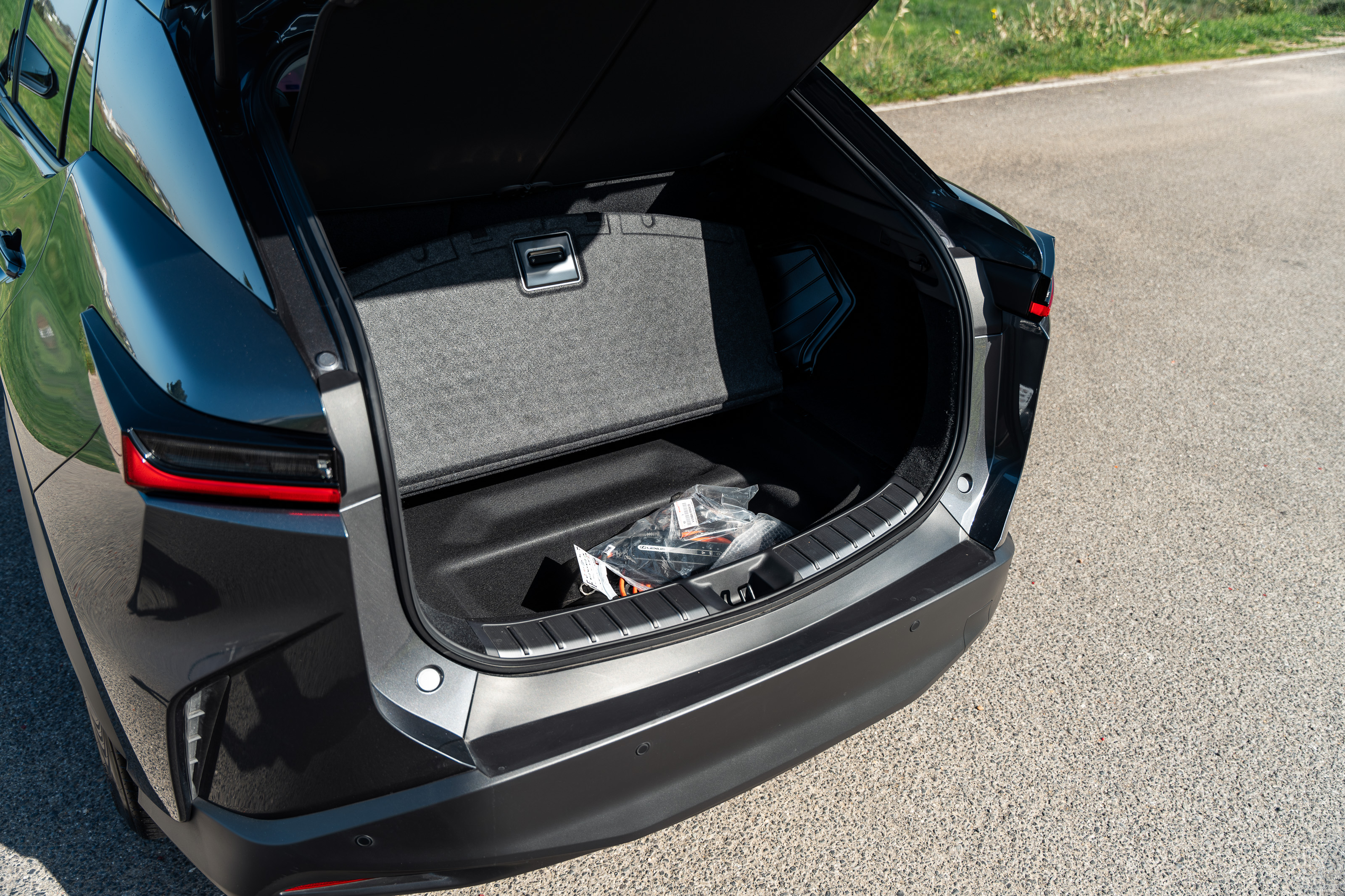 LEXUS RZ 300E RZ 300e Premium