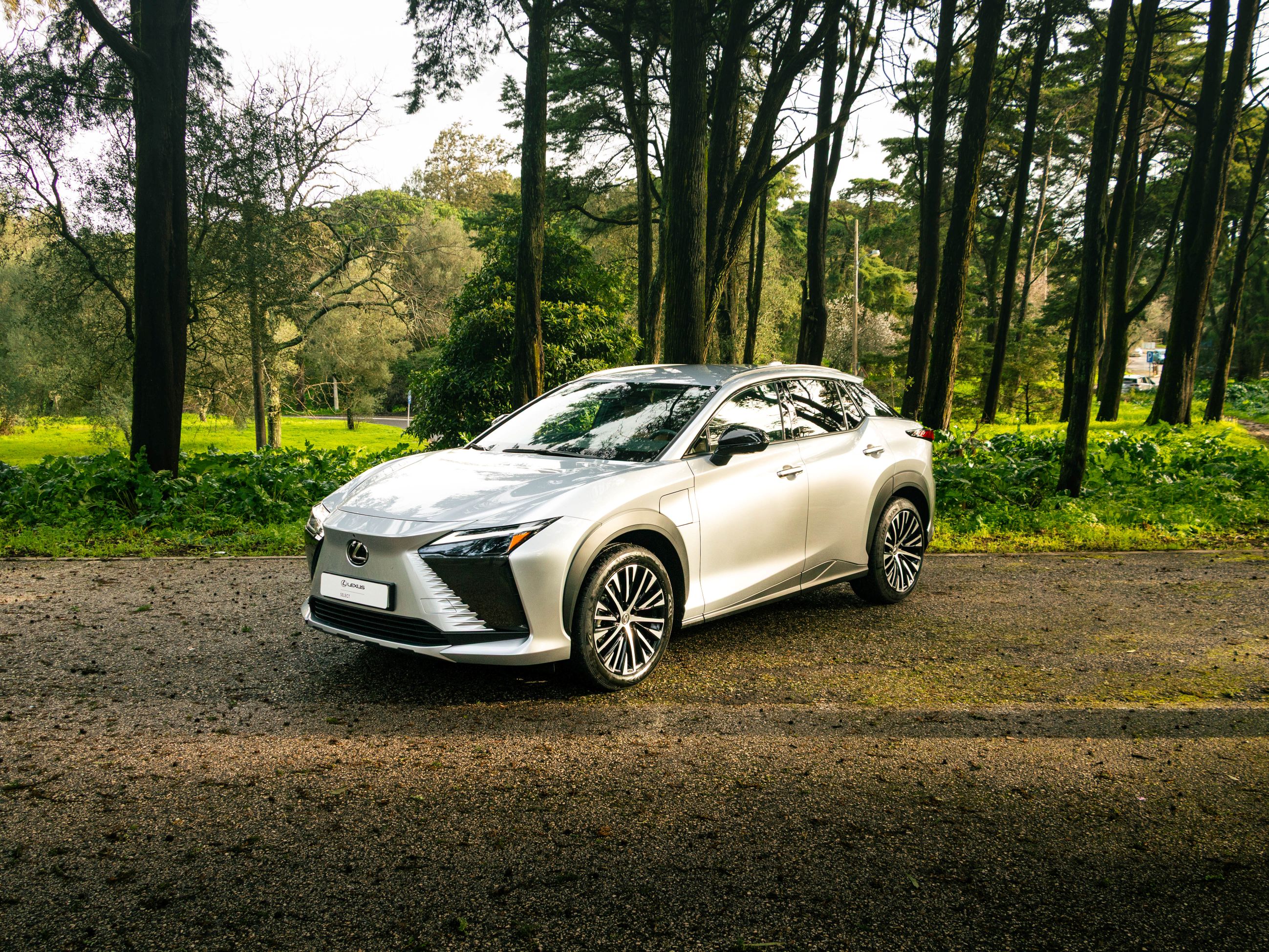 LEXUS RZ 300E RZ 300e Premium