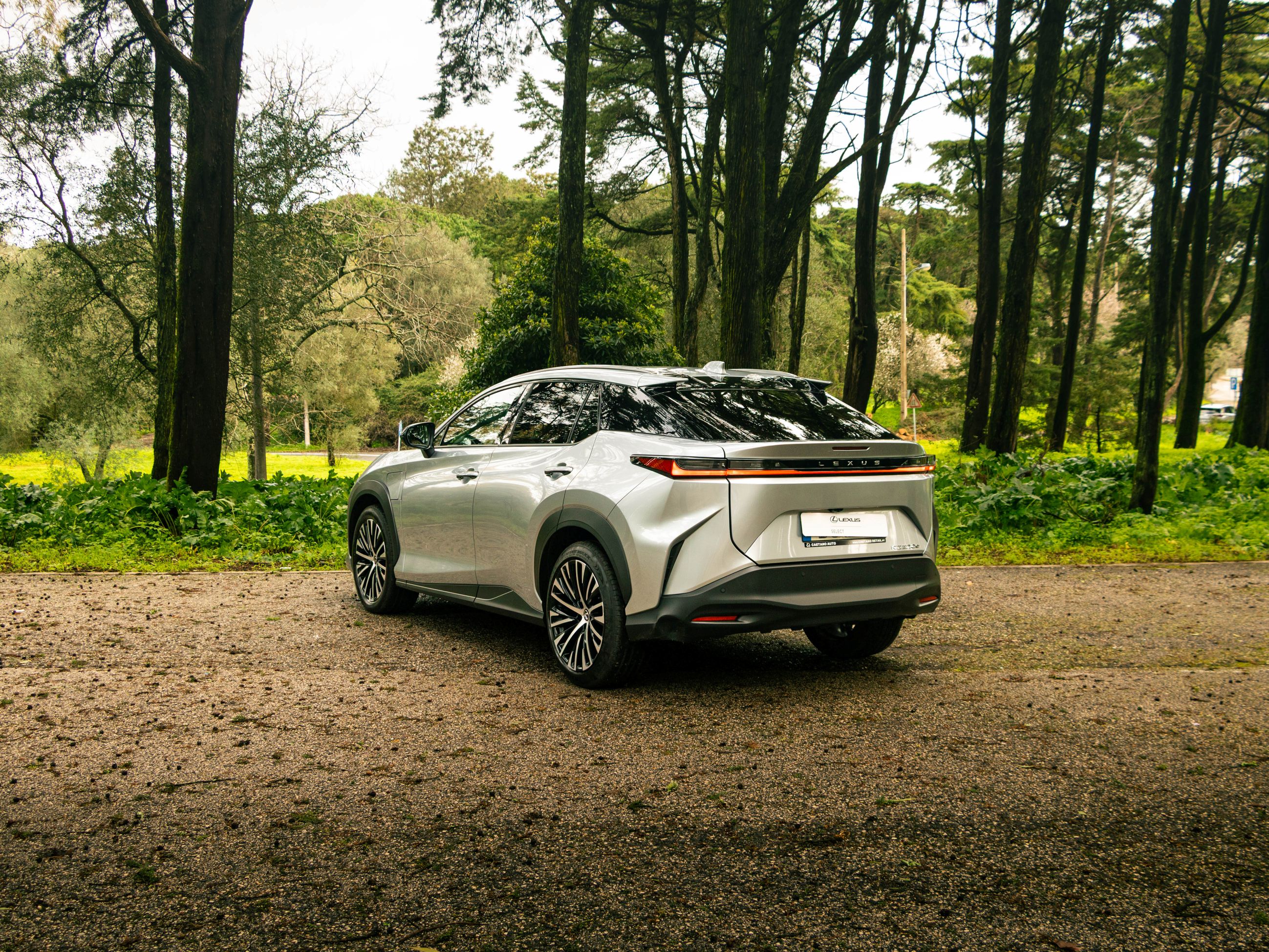 LEXUS RZ 300E RZ 300e Premium