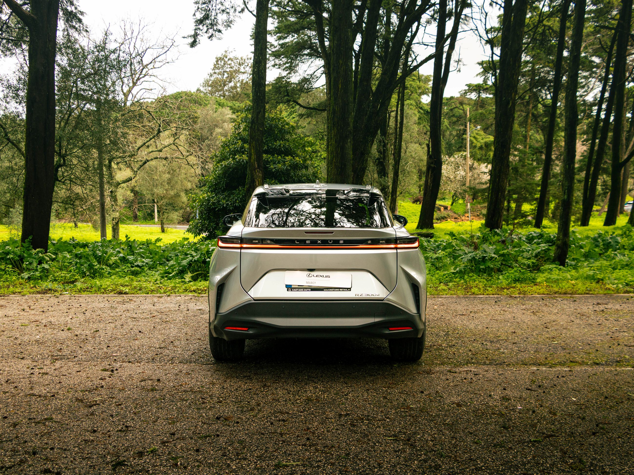 LEXUS RZ 300E RZ 300e Premium