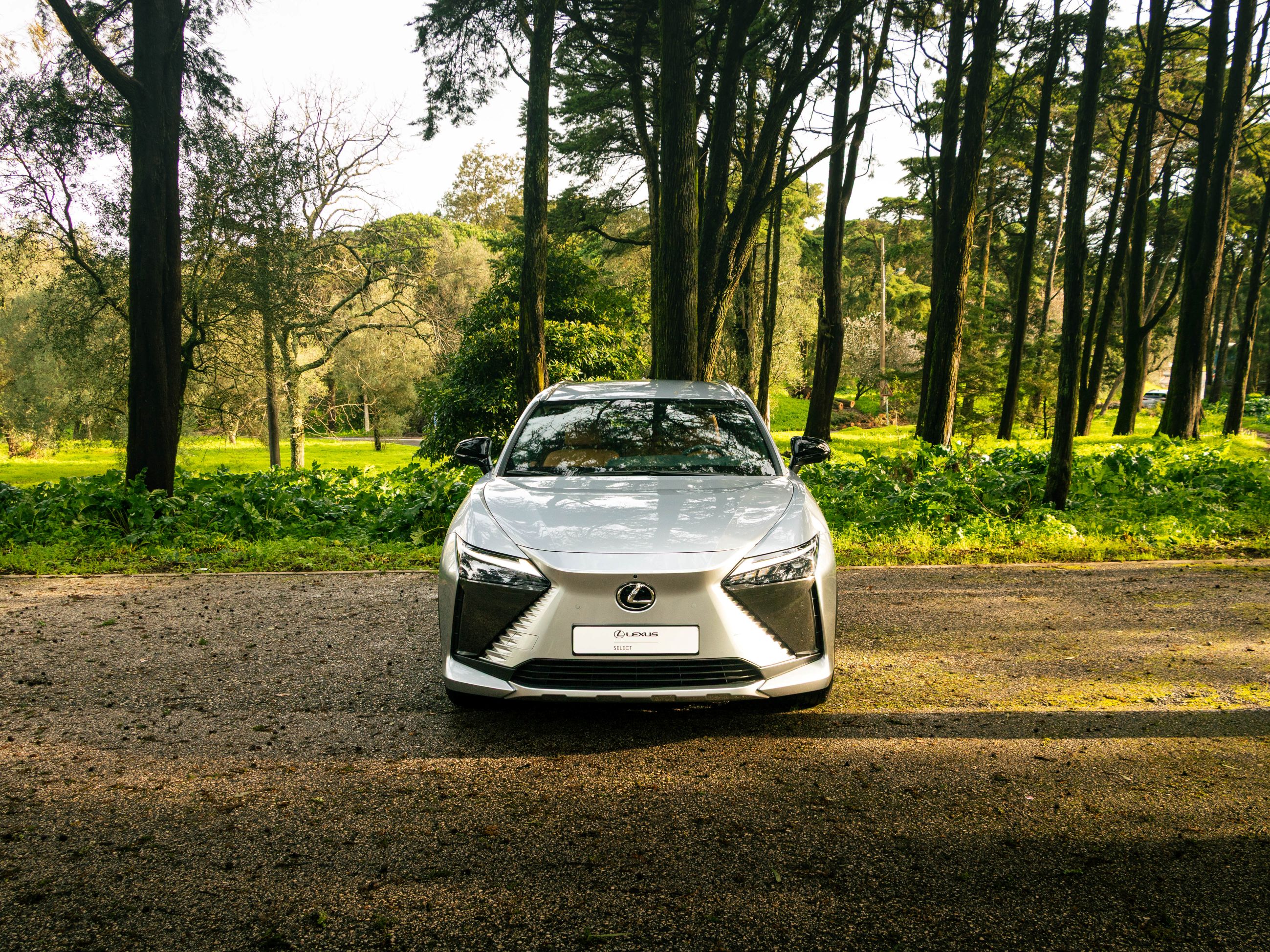 LEXUS RZ 300E RZ 300e Premium