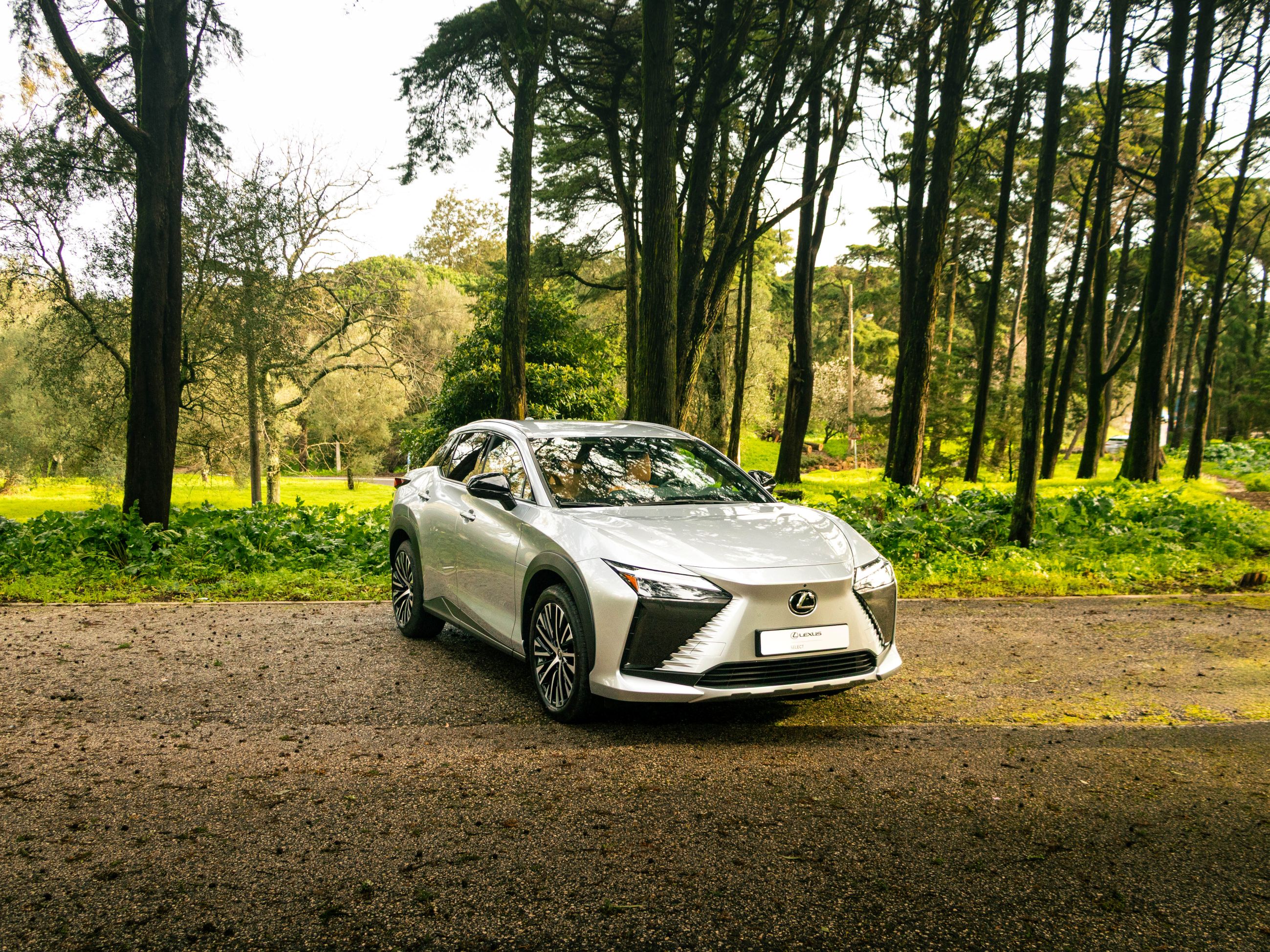 LEXUS RZ 300E RZ 300e Premium