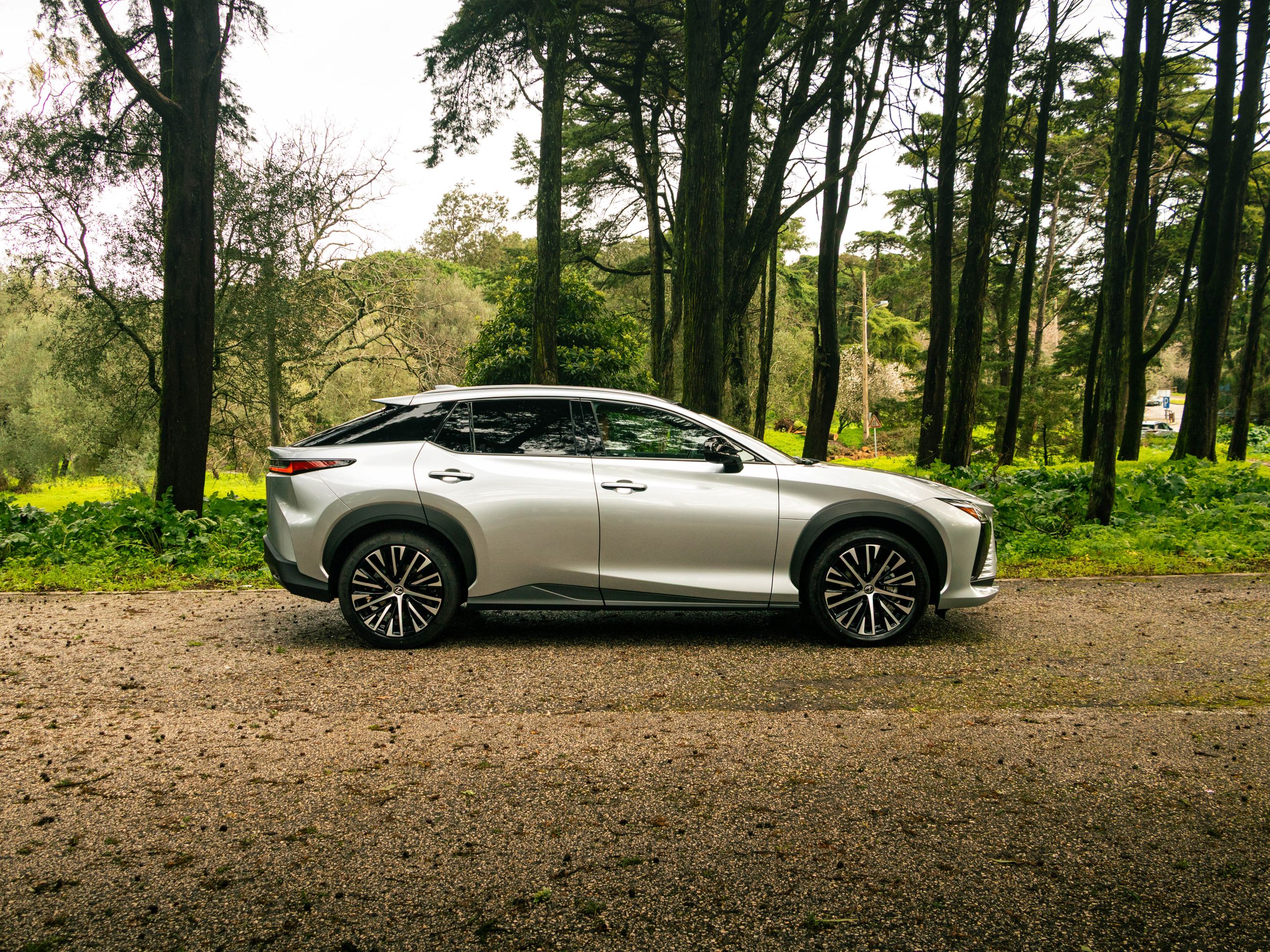 LEXUS RZ 300E RZ 300e Premium