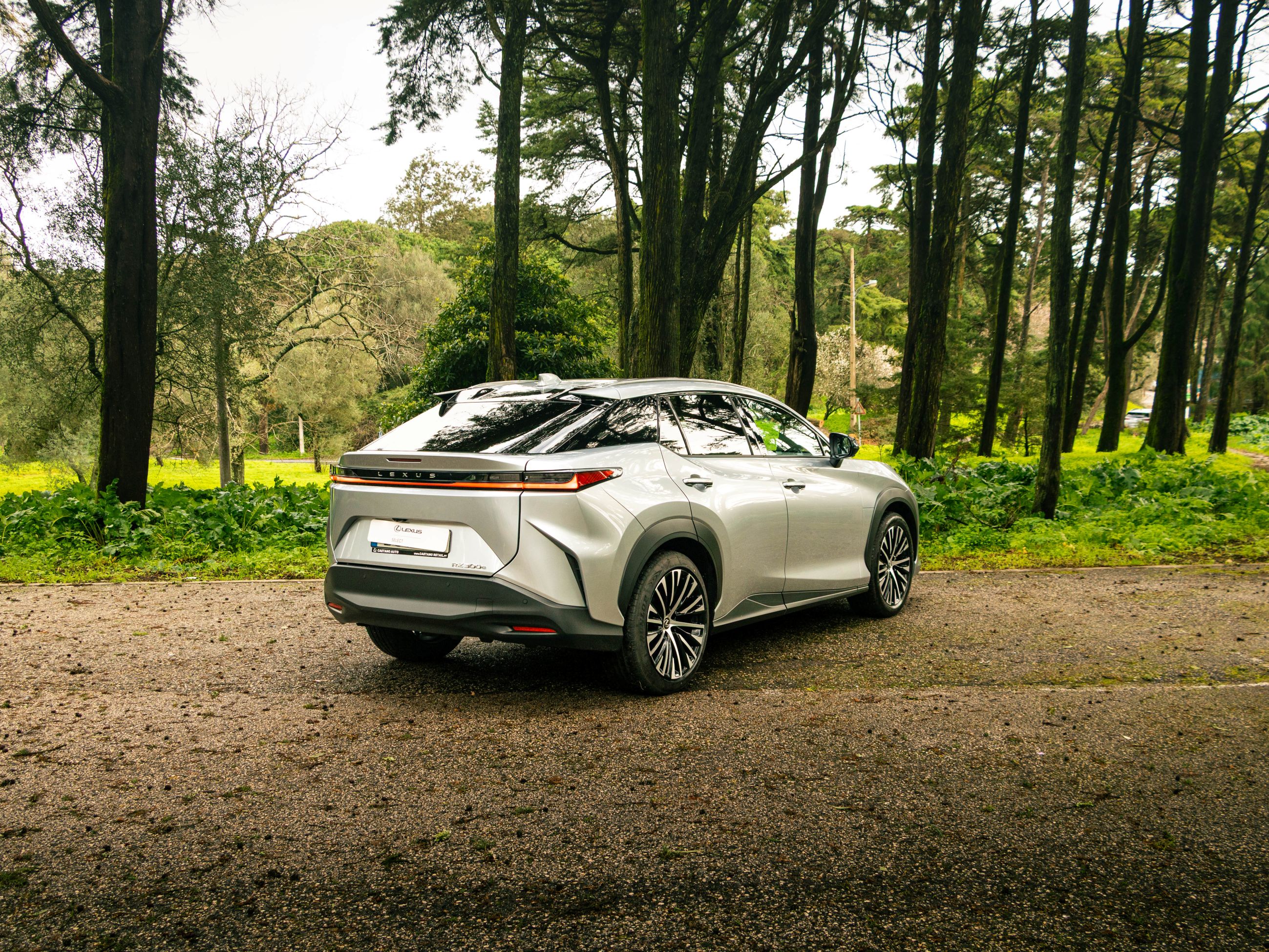 LEXUS RZ 300E RZ 300e Premium