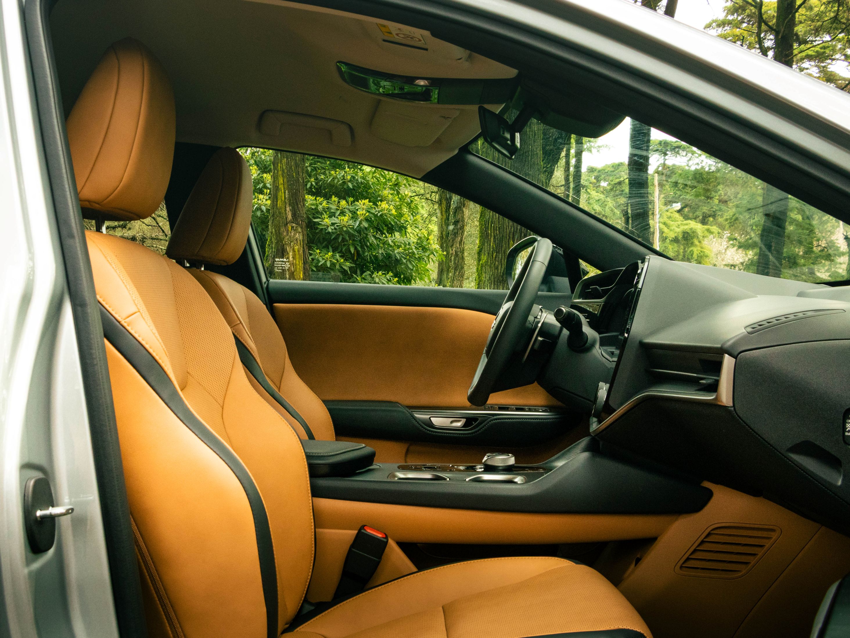 LEXUS RZ 300E RZ 300e Premium