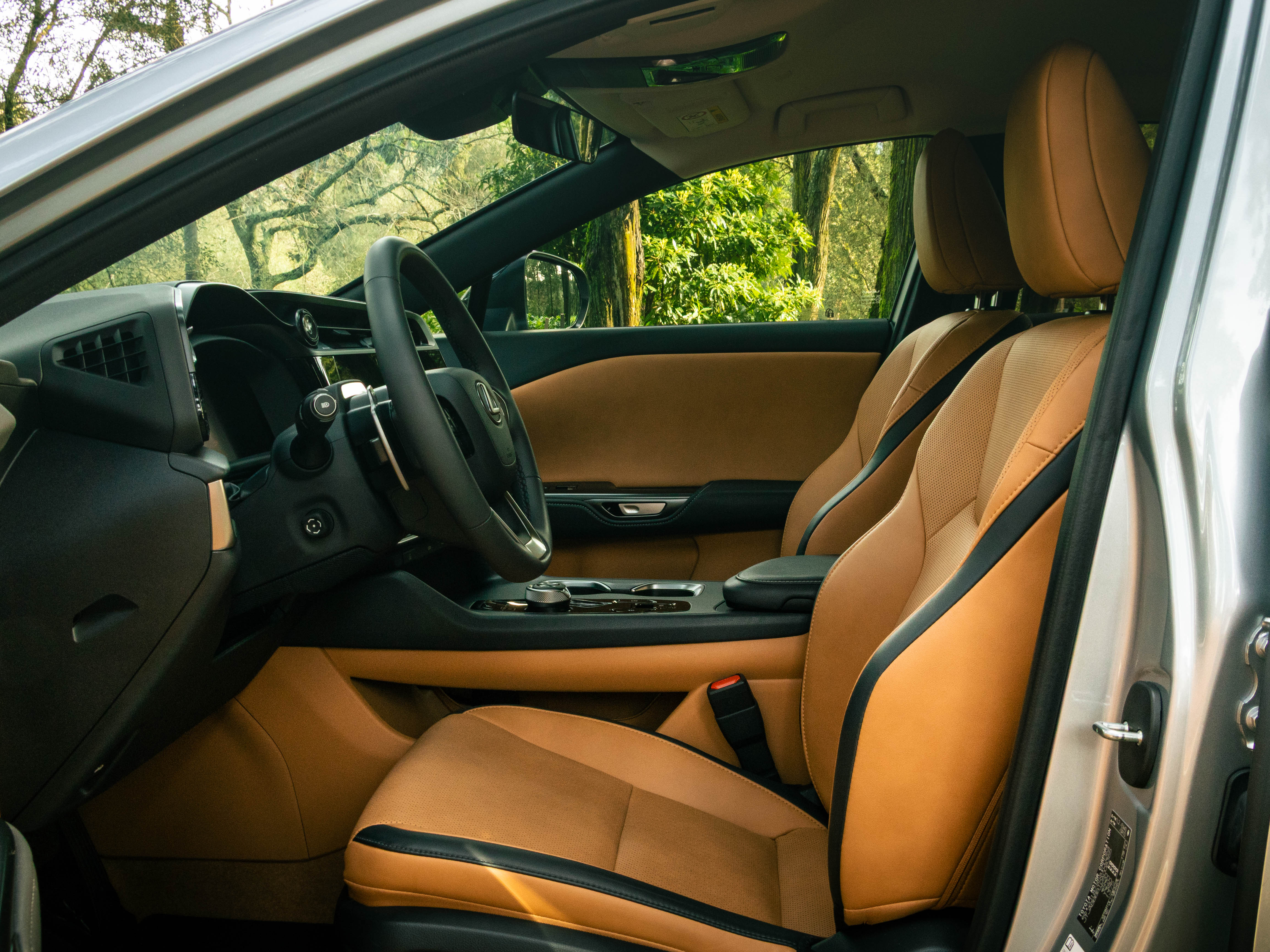 LEXUS RZ 300E RZ 300e Premium