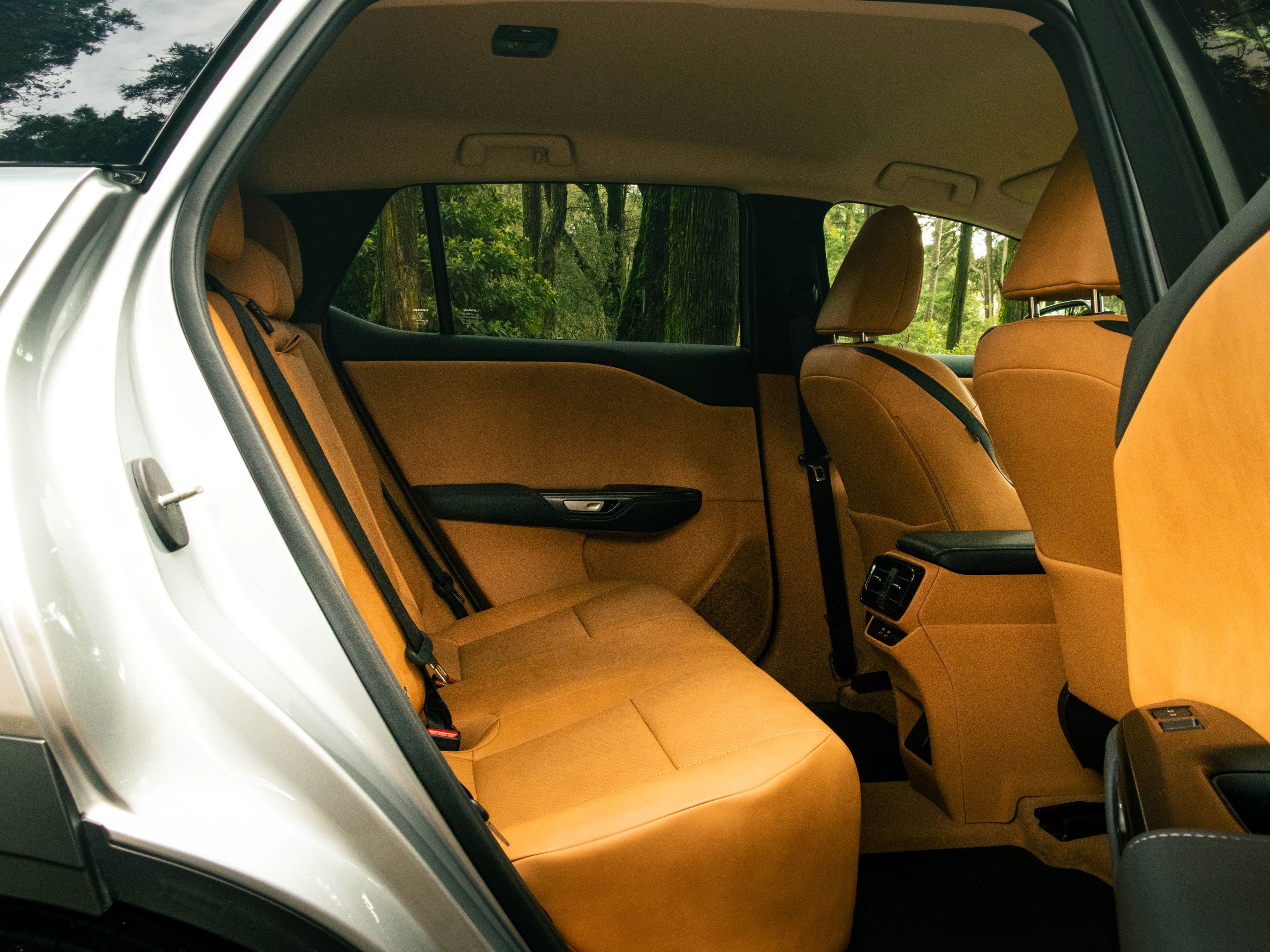 LEXUS RZ 300E RZ 300e Premium