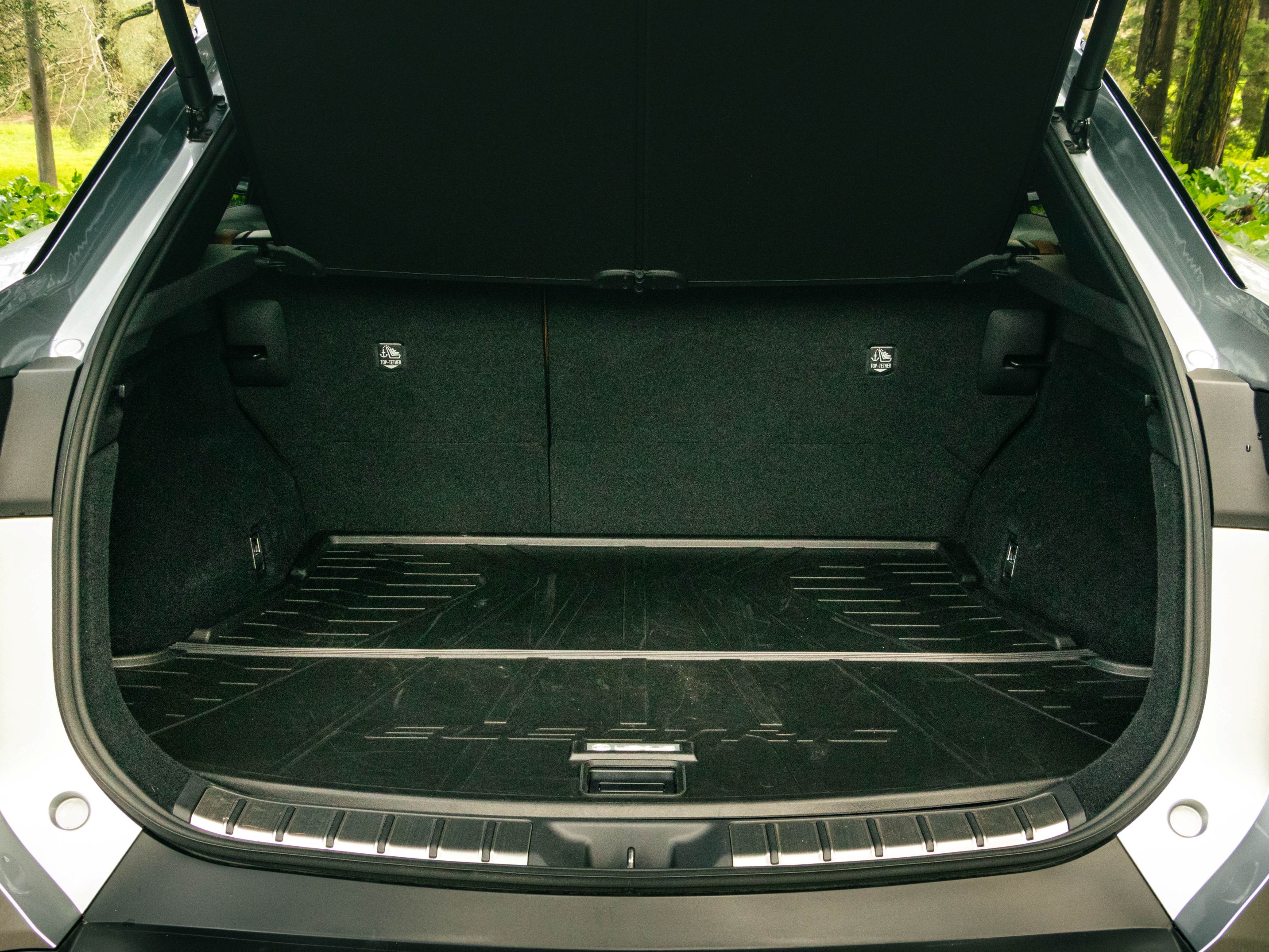 LEXUS RZ 300E RZ 300e Premium