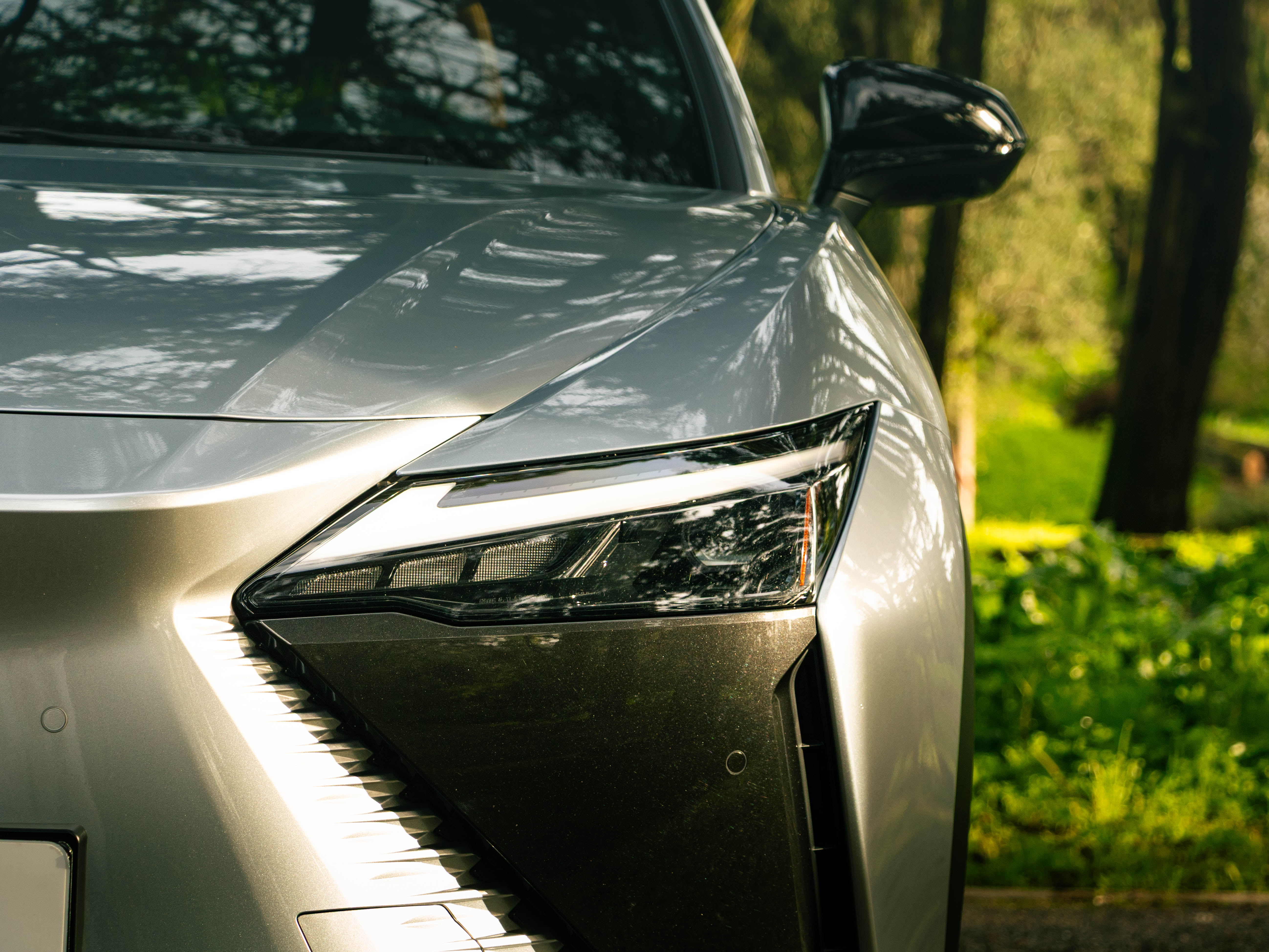 LEXUS RZ 300E RZ 300e Premium