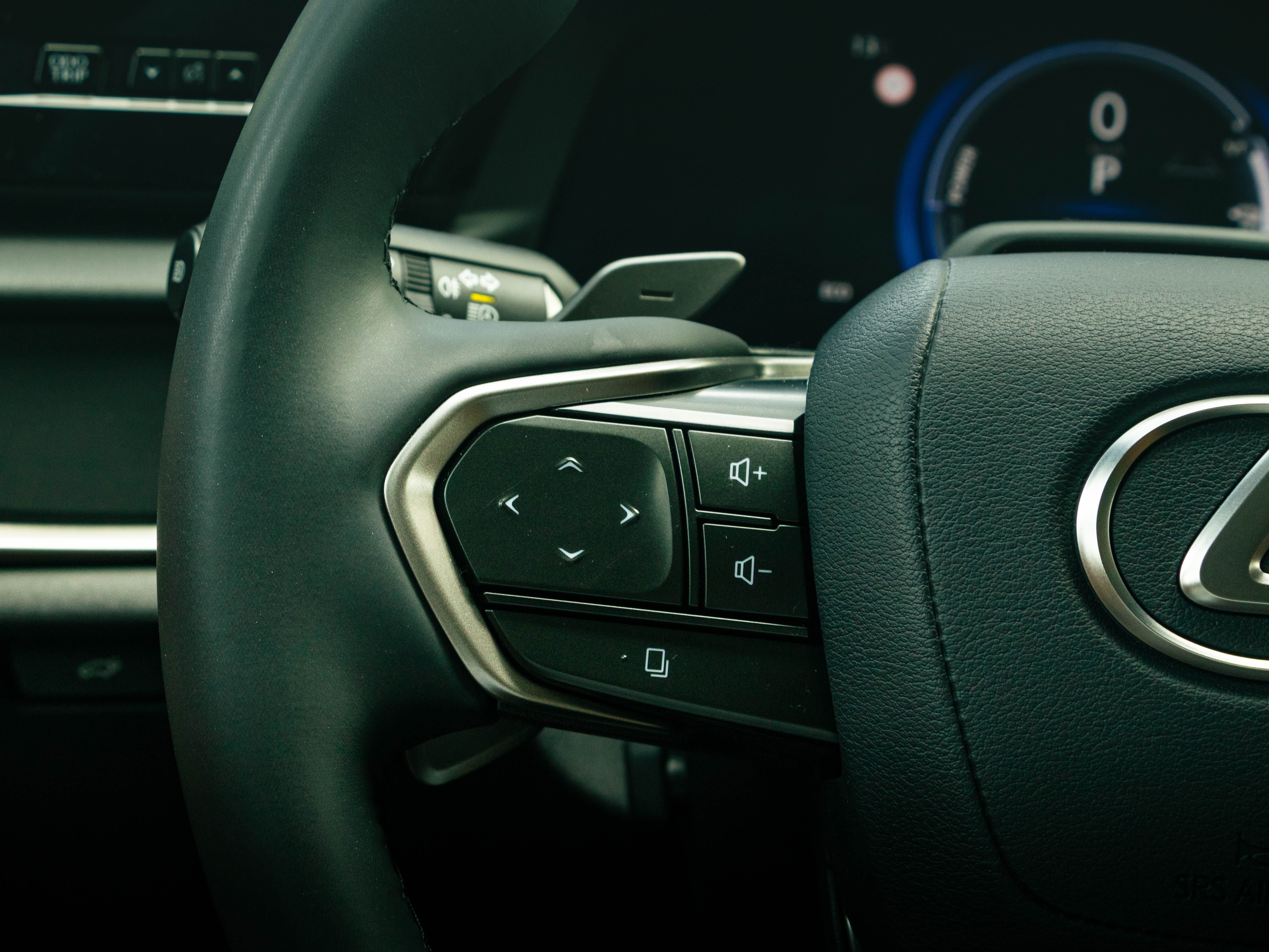 LEXUS RZ 300E RZ 300e Premium