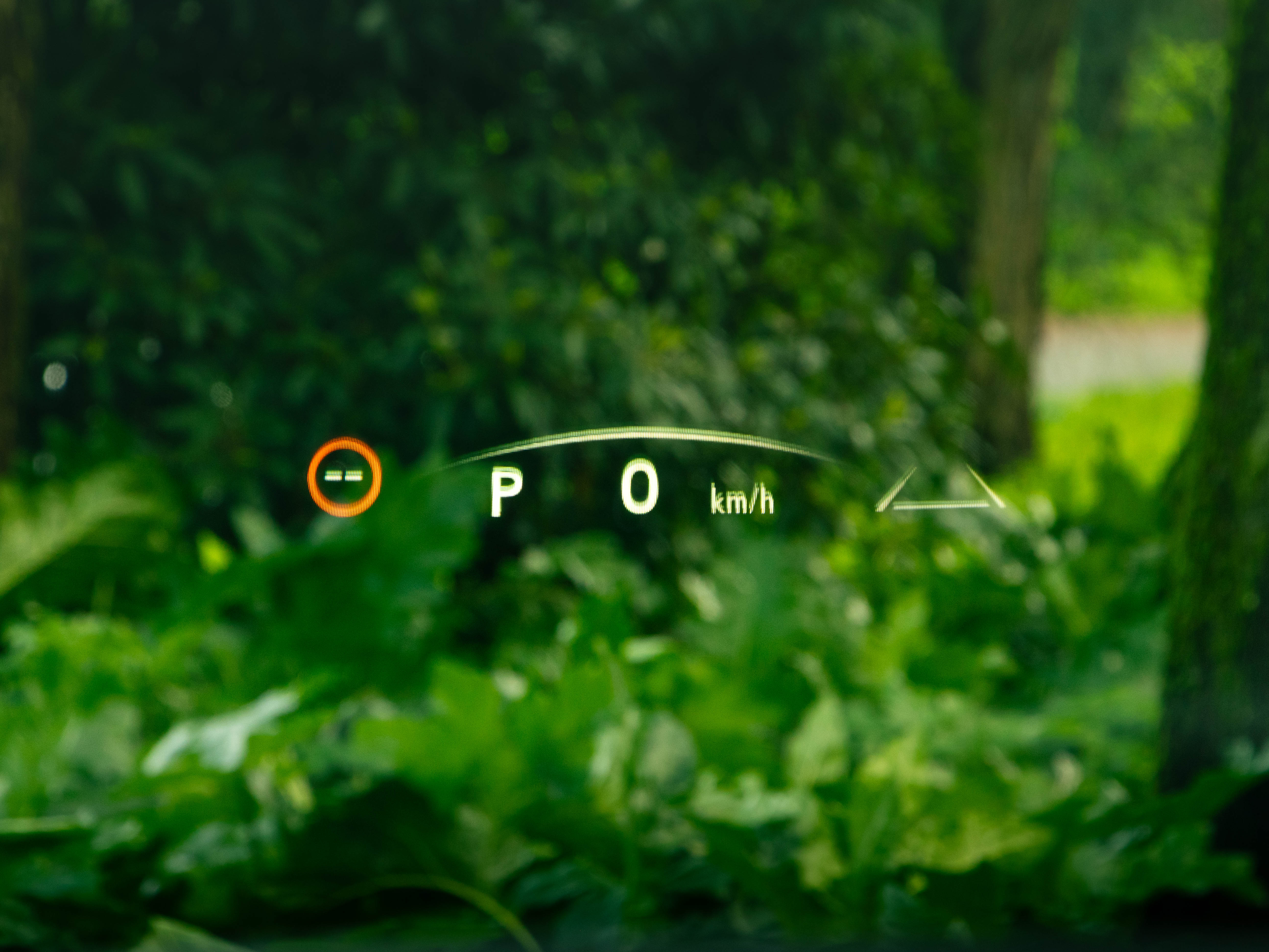 LEXUS RZ 300E RZ 300e Premium