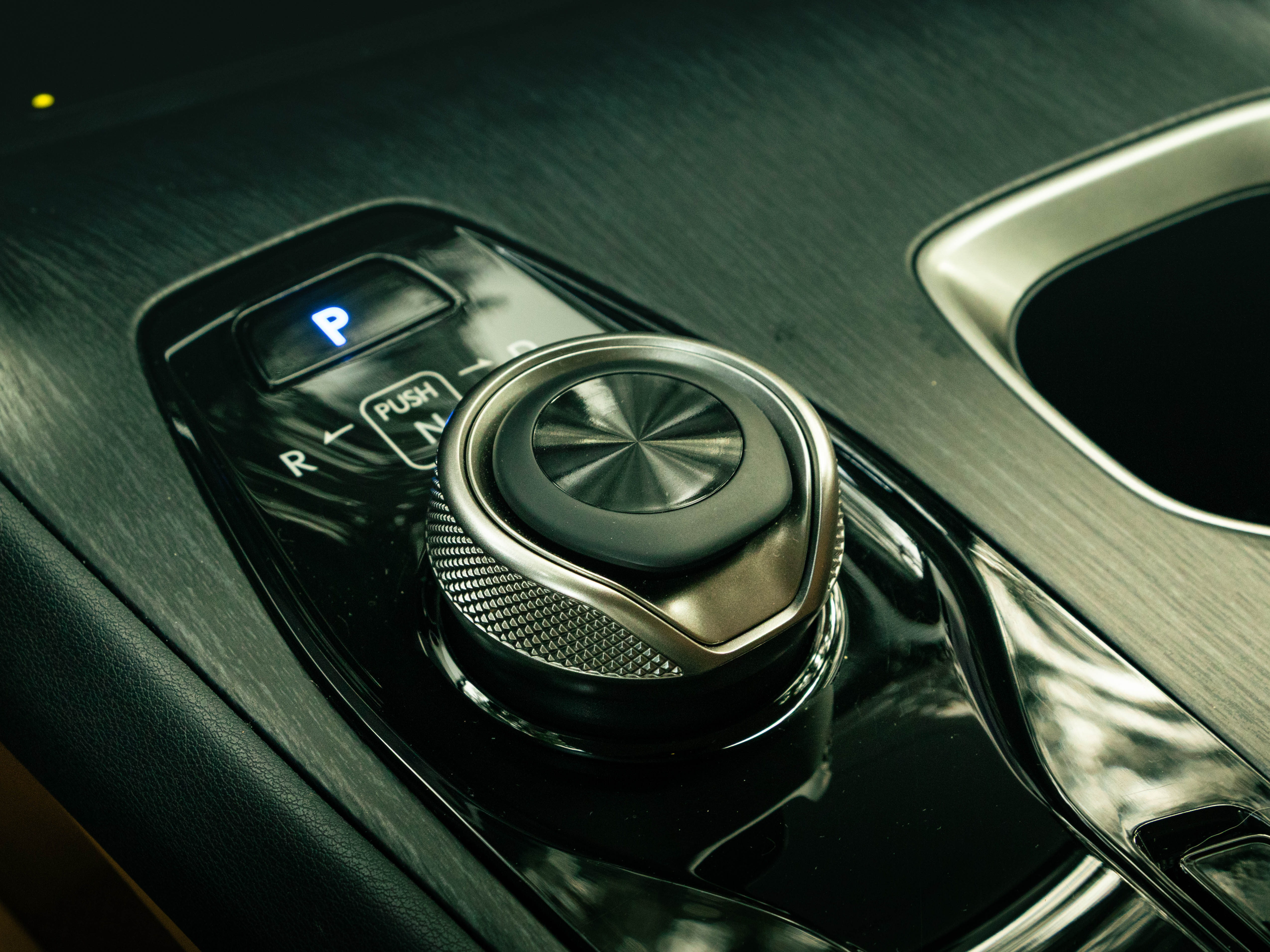 LEXUS RZ 300E RZ 300e Premium