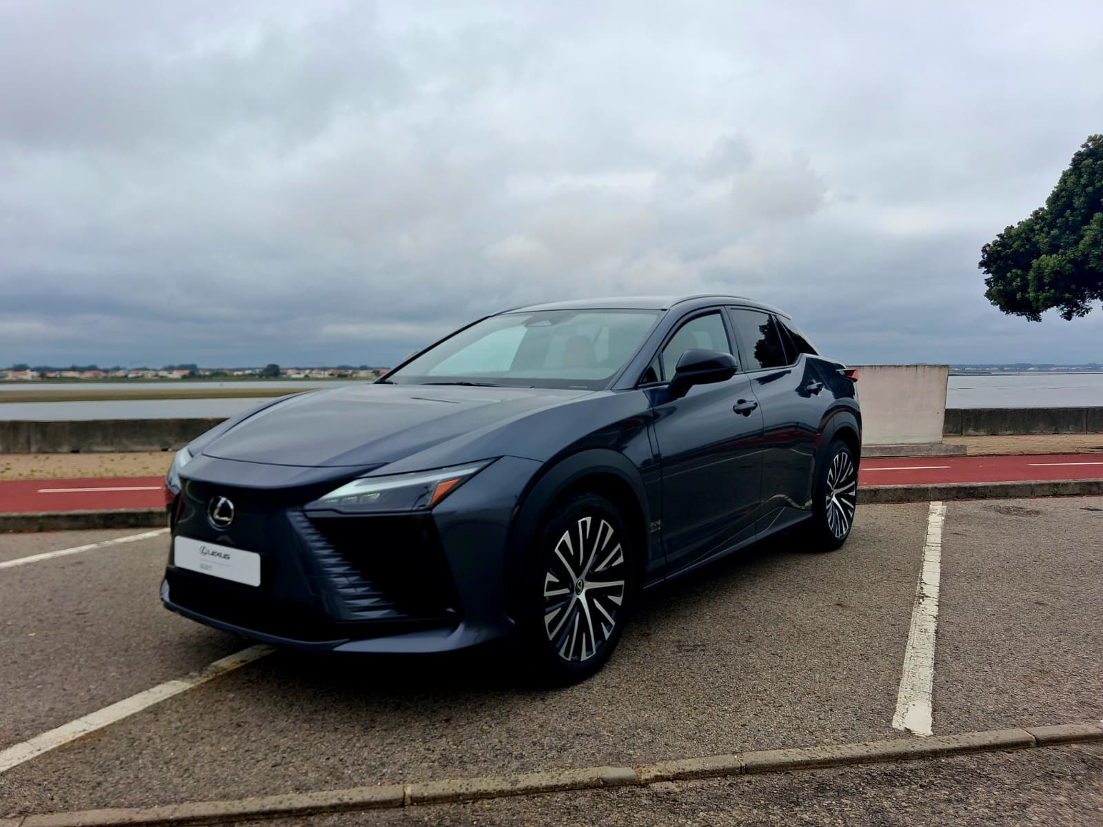 LEXUS RZ 300E RZ 300e Premium