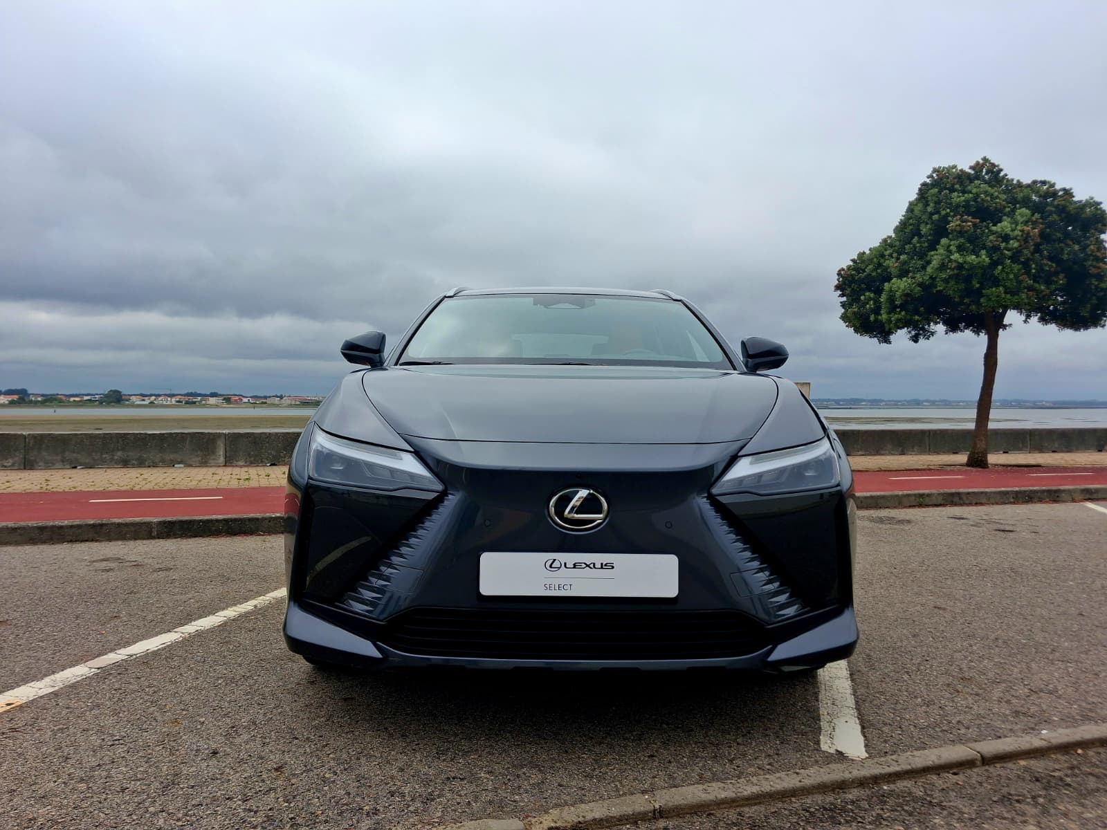 LEXUS RZ 300E RZ 300e Premium