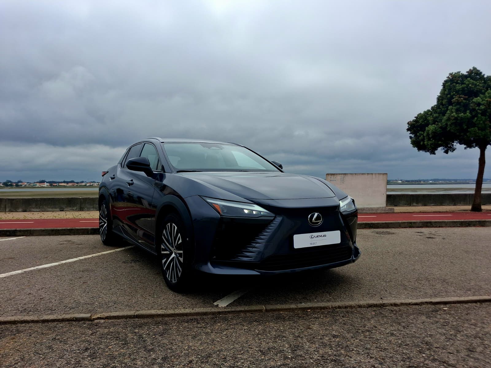 LEXUS RZ 300E RZ 300e Premium