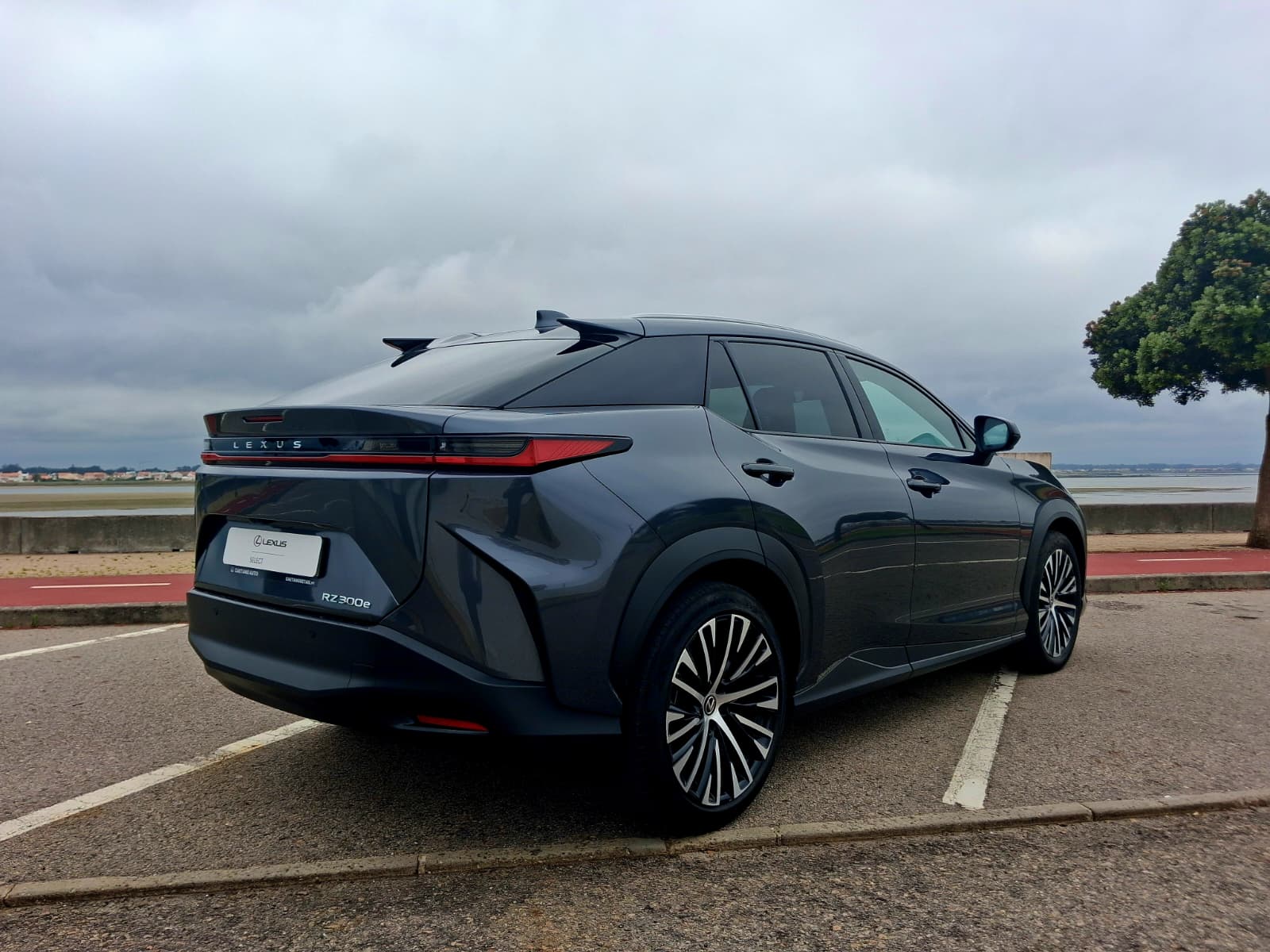 LEXUS RZ 300E RZ 300e Premium