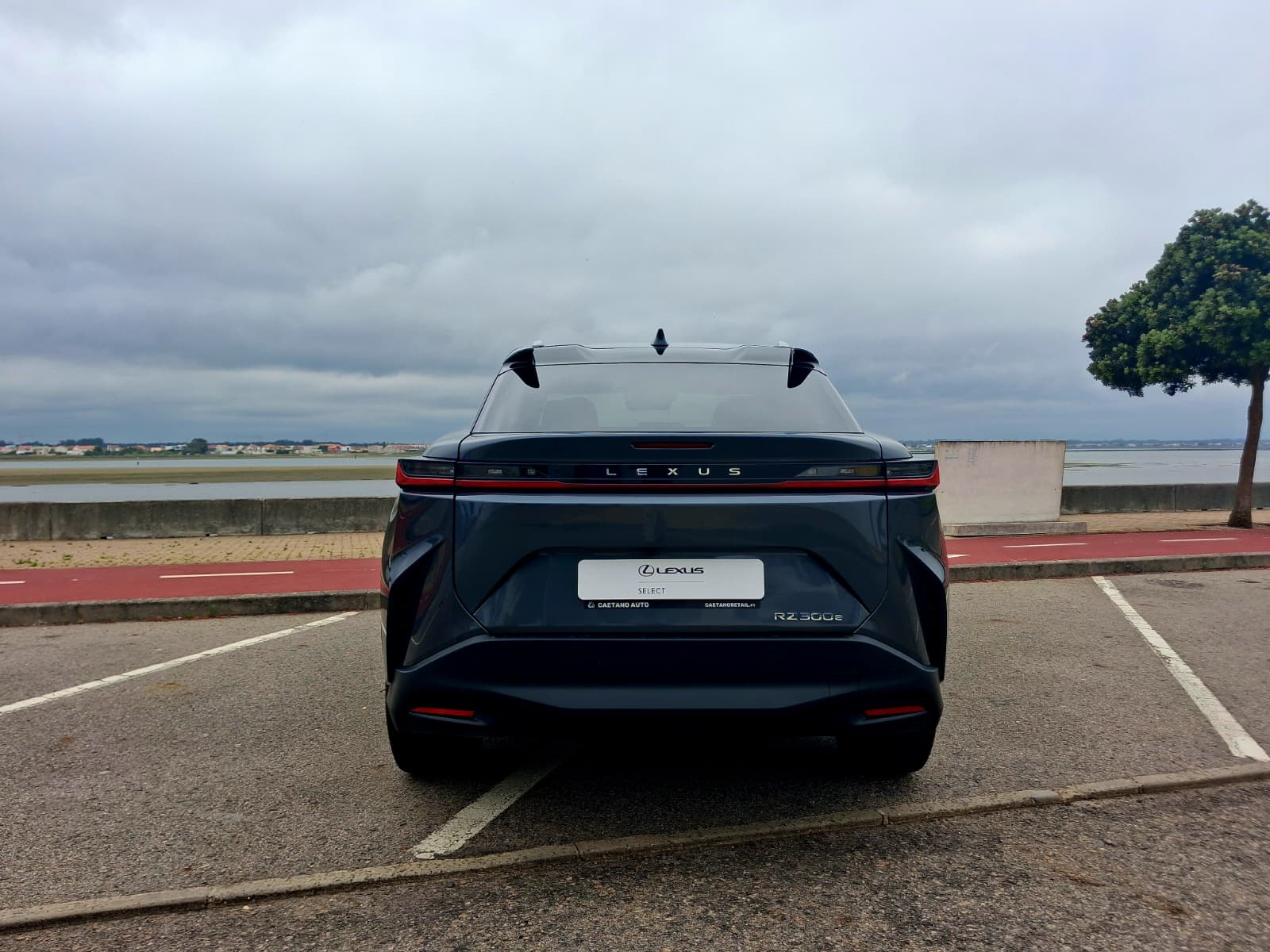 LEXUS RZ 300E RZ 300e Premium