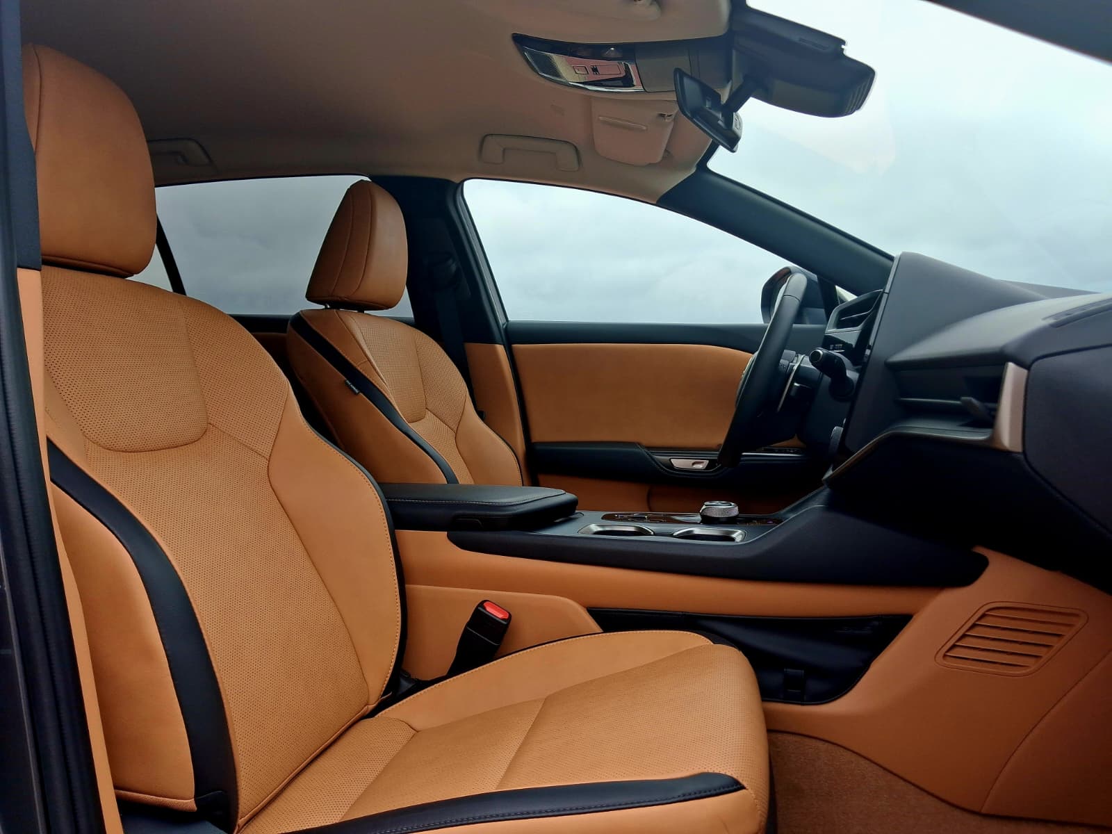 LEXUS RZ 300E RZ 300e Premium
