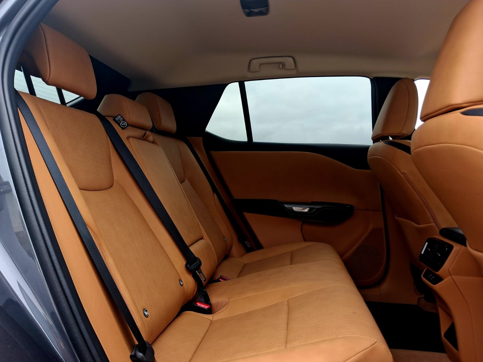 LEXUS RZ 300E RZ 300e Premium