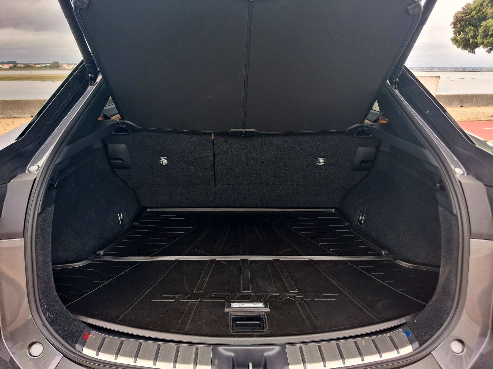 LEXUS RZ 300E RZ 300e Premium