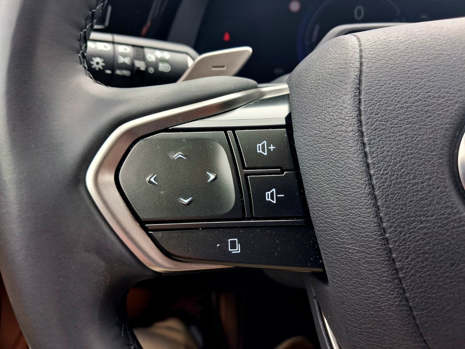LEXUS RZ 300E RZ 300e Premium