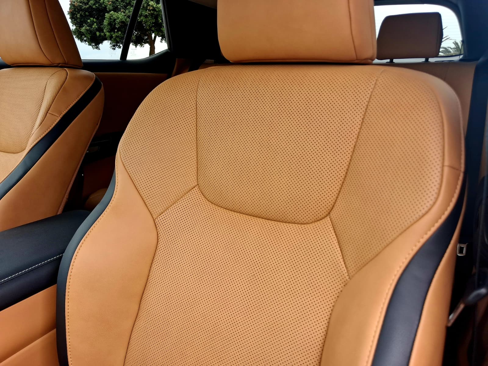 LEXUS RZ 300E RZ 300e Premium