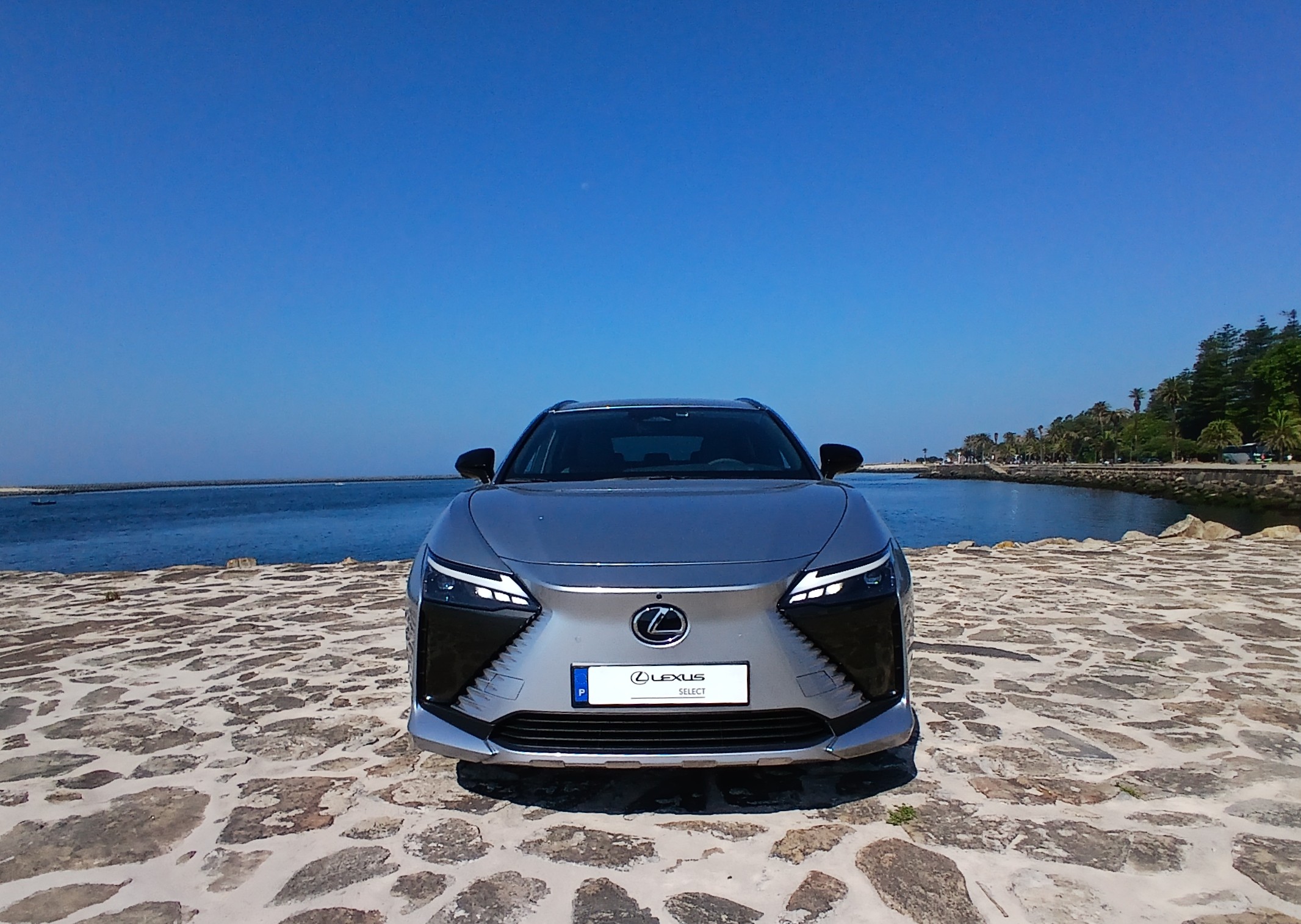 LEXUS RZ 300E RZ 300e Premium
