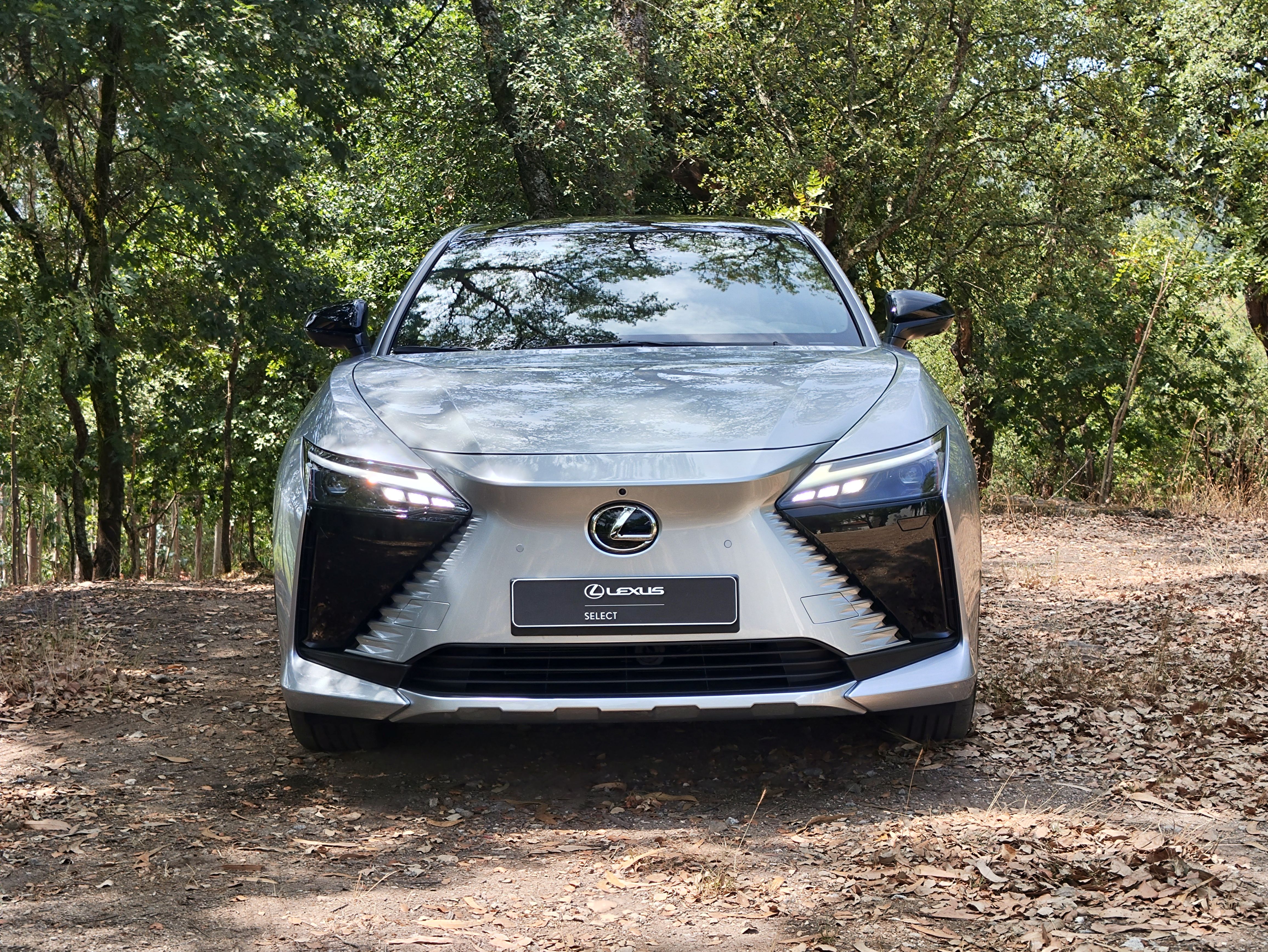 LEXUS RZ 350E RZ 350e Luxury